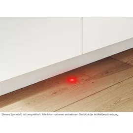 Neff N50 S255HTX06E Einbau-Geschirrspüler (vollintegrierbar, 598 mm breit)