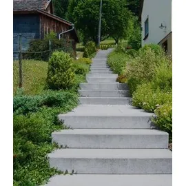 diephaus betonwerk gmbh Blockstufe 100 x 40 x 14 cm grau