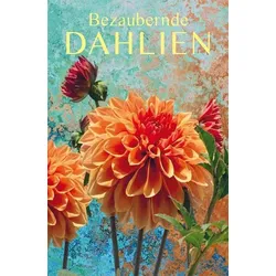 Bezaubernde Dahlien