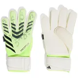 adidas Predator Match Grün 12