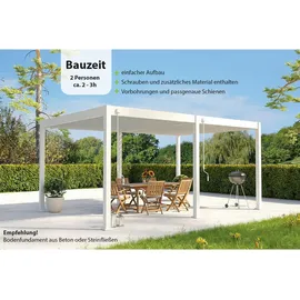 Weide Deluxe 3 x 6 m Weiß