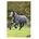 Horseware Amigo Plus 130 Grau
