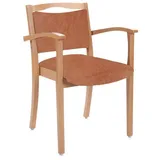 einrichtungsdesign24 Hüftstuhl / Seniorenstuhl mit Armlehnen Alexander Blieskastel 1 St