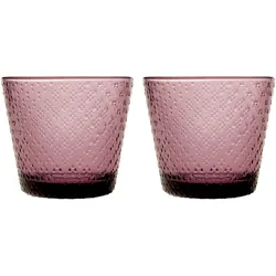 Iittala - Tundra Trinkglas 29 cl, calluna (2er-Set)