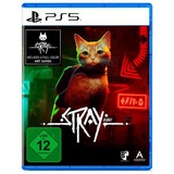 Stray - Multicolor