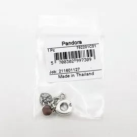 Pandora Moments Silber 792201C01