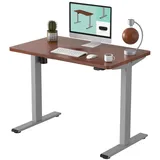 FLEXISPOT Schreibtisch Basic-Series (mit einteiligen Tischplatten), Elektrisch höhenverstellbarer Schreibtisch, 2- Fach-Teleskop grau 120 cm x 80 cm