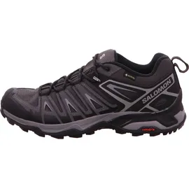 Salomon X Ultra Pioneer Gore-Tex Herren Phantom / Black / Quiet Shade 42 2/3