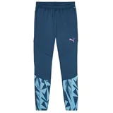 Puma individualFINAL Trainingshose Kids Grün F56