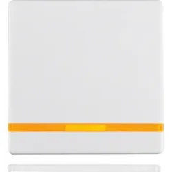 Berker Wippe Linsen 16216089