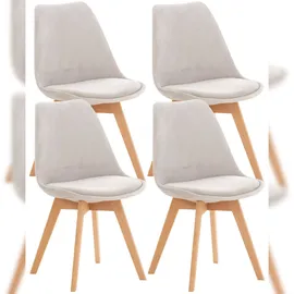 CLP Linares 4 St. Samt hellgrau