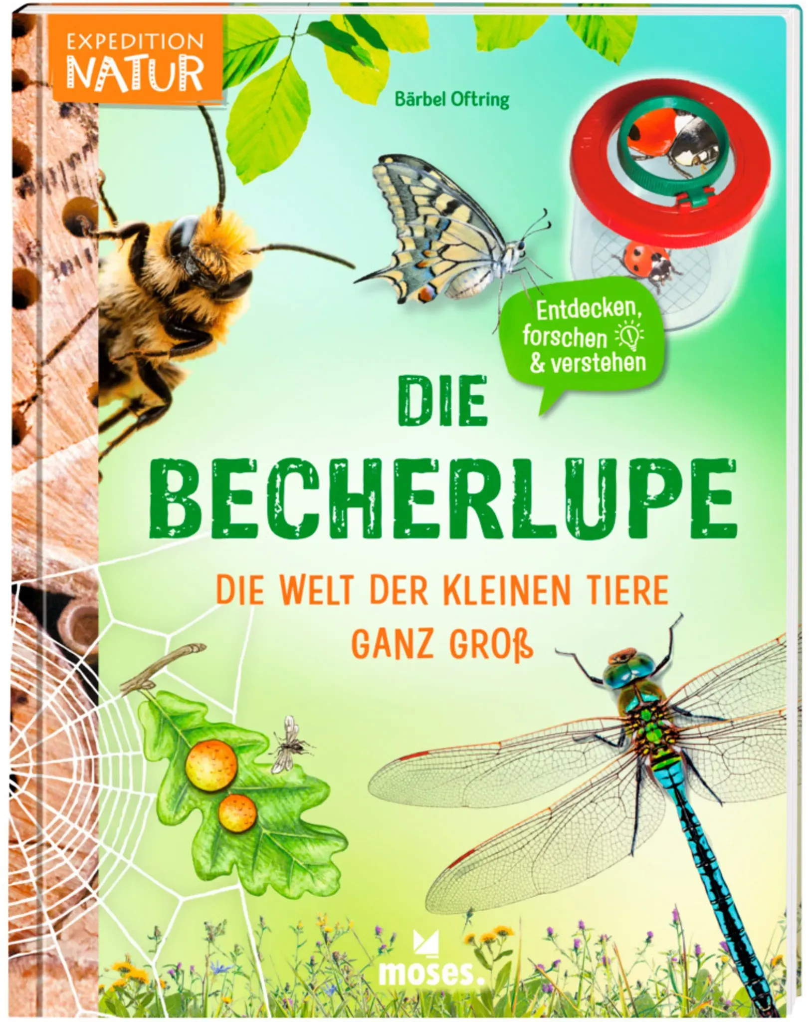 Die Becherlupe – Die Welt der kleinen Tiere ganz groß