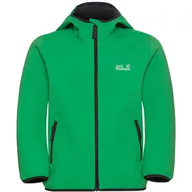 Jack Wolfskin Fourwinds Kids Schnitt Hose Mystic Green 92