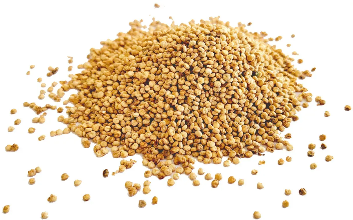 Vollkorn-Quinoa aus Deutschland - bio & roh (0.5kg)