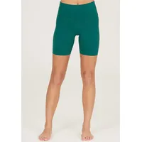 Endurance ATHLECIA Tights Almy GRÜN 34