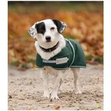 Waldhausen Hundemantel 200 g grün 55 cm