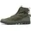 Braun 36
