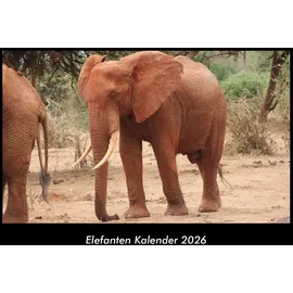 Vero Kalender Elefanten Kalender 2026 Fotokalender DIN A3