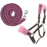 Pfiff Halfter-Set Sunny 3-teilig Braun/Pink Full