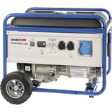 ENDRESS ESE 6000 BS