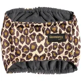 Glenndarcy Männlicher Hundewindeln - Urininkontinenz - (Medium Band & 2 Washable Pads, Leopard)