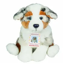 Teddy-Hermann Australian Shepherd Welpe sitzend