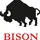 Bison Spaltbeil Profilline