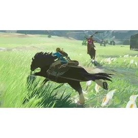 The Legend of Zelda: Breath of the Wild (PEGI) (Nintendo Switch)