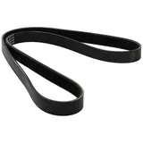 DAYCO Keilrippenriemen