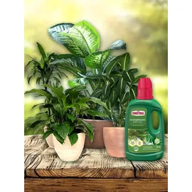 Substral Flüssigdünger Grünpflanzen 500 ml