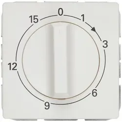 Siemens 5TC89321 DELTA style Zeitschaltuhr mit 15min Laufzeit, platinmetallic