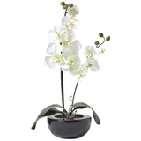 Homescapes - Kunstblume Orchidee Gesteck Pink Mit Schwarzem Keramiktopf