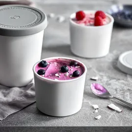 Springlane Eisbehälter rund grau 0,4 l 4-teiliges Set