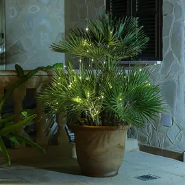 MARELIDA LED Lichterkette Draht Lichtbündel 1 m Silber warmweiß