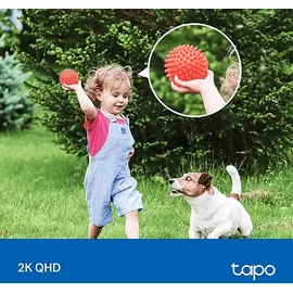 Tapo C425 Kit