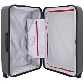 Delsey Segur 2.0 4-Rollen 79,5 cm / 109 l grey