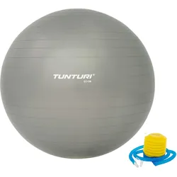 Gymball 65cm - Silver Gymnastikball 65 CM