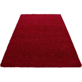 KADIMA DESIGN Hochflorteppich, RHEIN, einfarbig, Rot, 300 x 400 cm