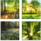 Artland Leinwandbild »Wald Bach Frühling Windrosen Sonne Baum«, Wald, (4 St.), 4er Set, verschiedene Größen, grün