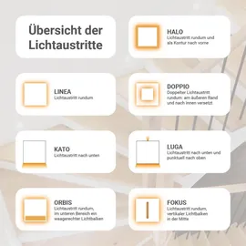 Longlife LED LED Treppenleuchte eckig schwarz - Lichtfarbe: Neutralweiß 1,5W - Lichtaustritt:...