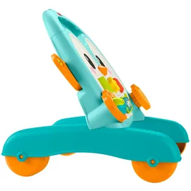 Mattel 2-in-1 Musikalischer Pinguin Lauflernwagen