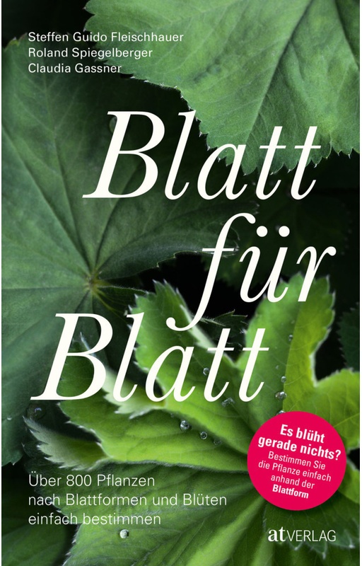 Blatt Für Blatt - Steffen Guido Fleischhauer, Roland Spiegelberger, Claudia Gassner, Kartoniert (TB)