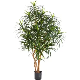 Künstlicher Drachenbaum - Hauke | cm