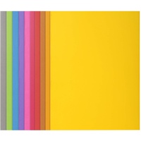 Exacompta 210001E 100er Packung Aktendeckel ROCKS 210 24x32cm Farben
