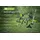 Zipper ZI-GPS252 Gartenpflegeset