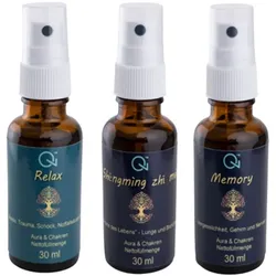 Qi - Health Kopf & Geist Konzentration Kombipackung 87 g
