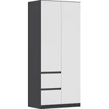 Rauch Drehtürenschrank MAINZ 91 x 210 x 54 cm Grau