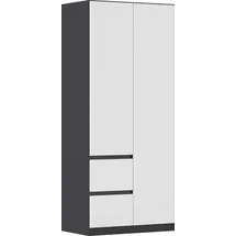 Rauch Drehtürenschrank MAINZ 91 x 210 x 54 cm Grau