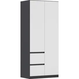 Rauch Drehtürenschrank MAINZ 91 x 210 x 54 cm Grau