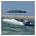 Bimini Sonnenverdeck 4 Bow 243 230-244 137 Aluminium/Polyurethan Blau